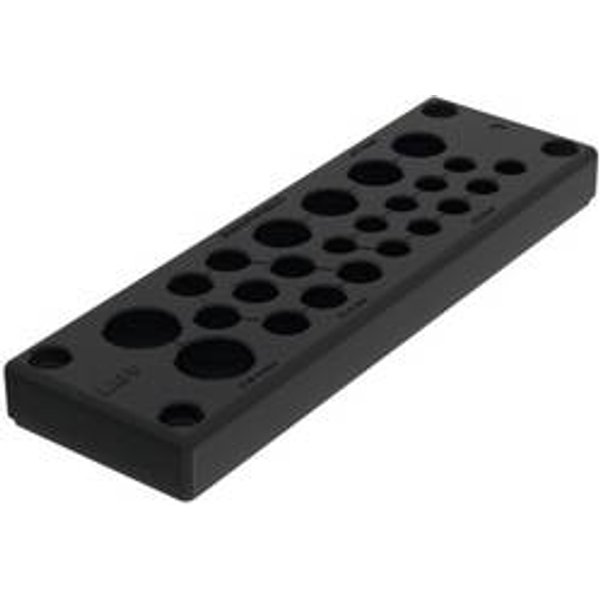 LAPP SKINTOP® MULTI VERSION 6 Mehrfachkabeldurchführungsplatte UV-beständig 1 St.