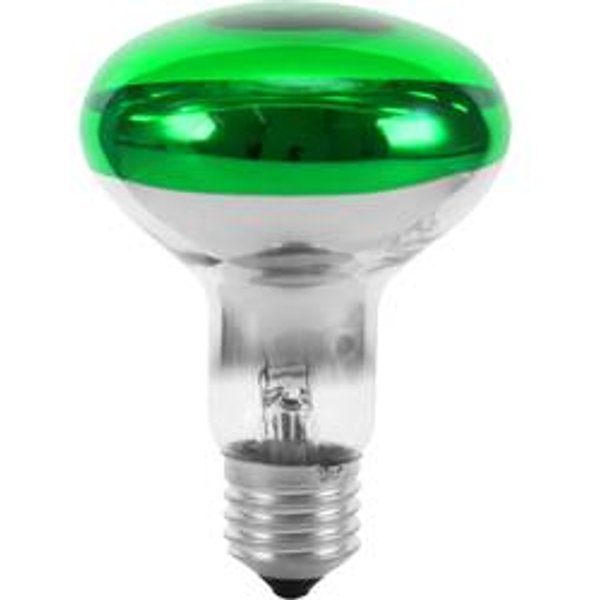 Eurolite 9210410U Glühlampe E27 Reflektor 60 W Grün (Ø x H) 80 mm x 110 mm 1 St.